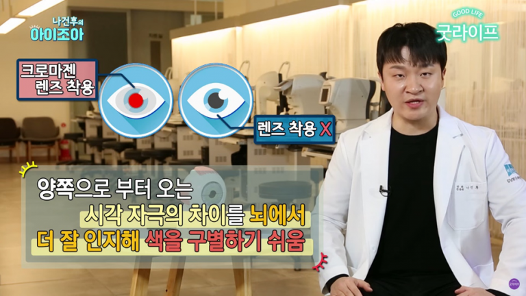 색약과 색맹의 차이는? 적록색약렌즈 원리와 착용법까지 알려드립니다! - The 비앤빛 블로그