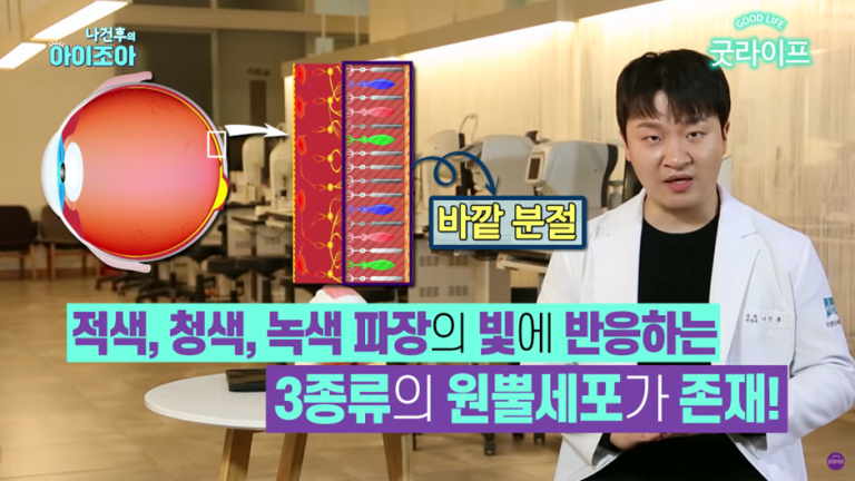 색약과 색맹의 차이는? 적록색약렌즈 원리와 착용법까지 알려드립니다! - The 비앤빛 블로그